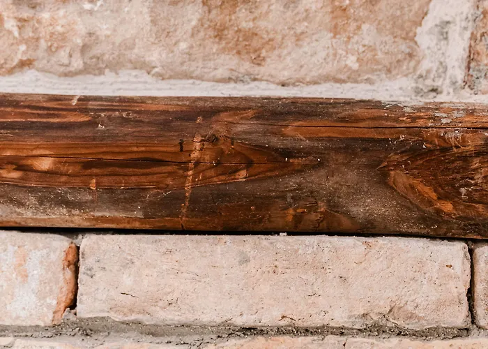 게스트하우스 Palace